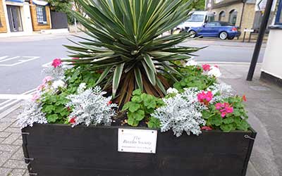 Beccles Society Flowers